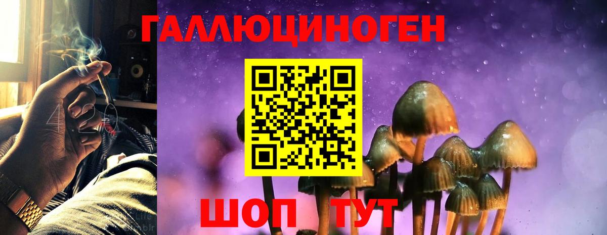 Пушкино  Галлюциногенные грибы ЛСД  Вход с VPN 